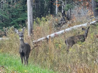 10 Lake Vista Drive, Oakland, ME, 04963