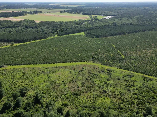 0 County Road 87, Elberta, AL 36530