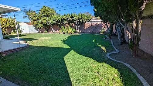 backyard and shed