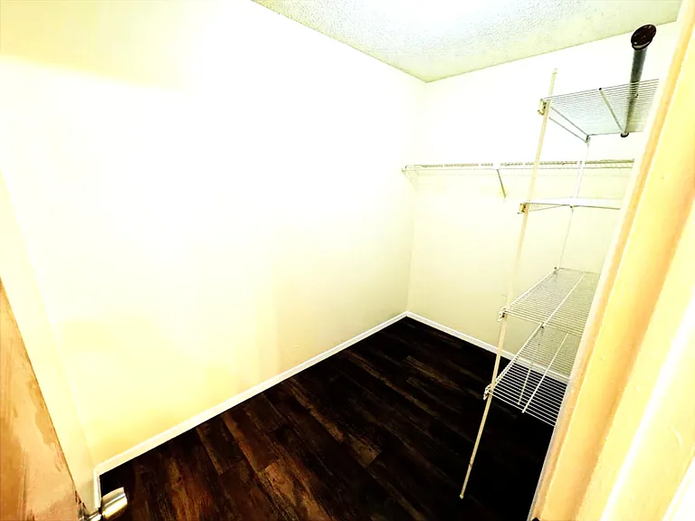 Walk-in closet in master bedroom