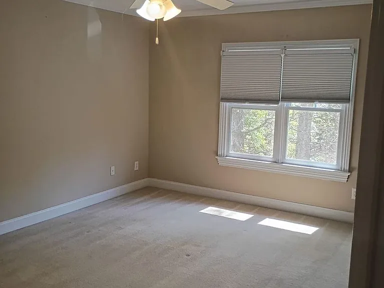 273 Brown Bear — Photo 20