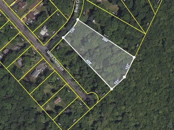 19 Black Cherry Ln, East Stroudsburg, PA 18301