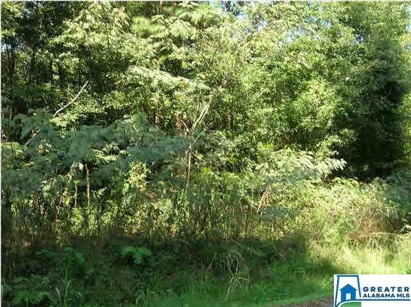 228 Gober Dr Lot 0, Birmingham, AL 35214