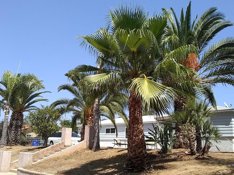 1st image of 2127 Vista Grande Pl