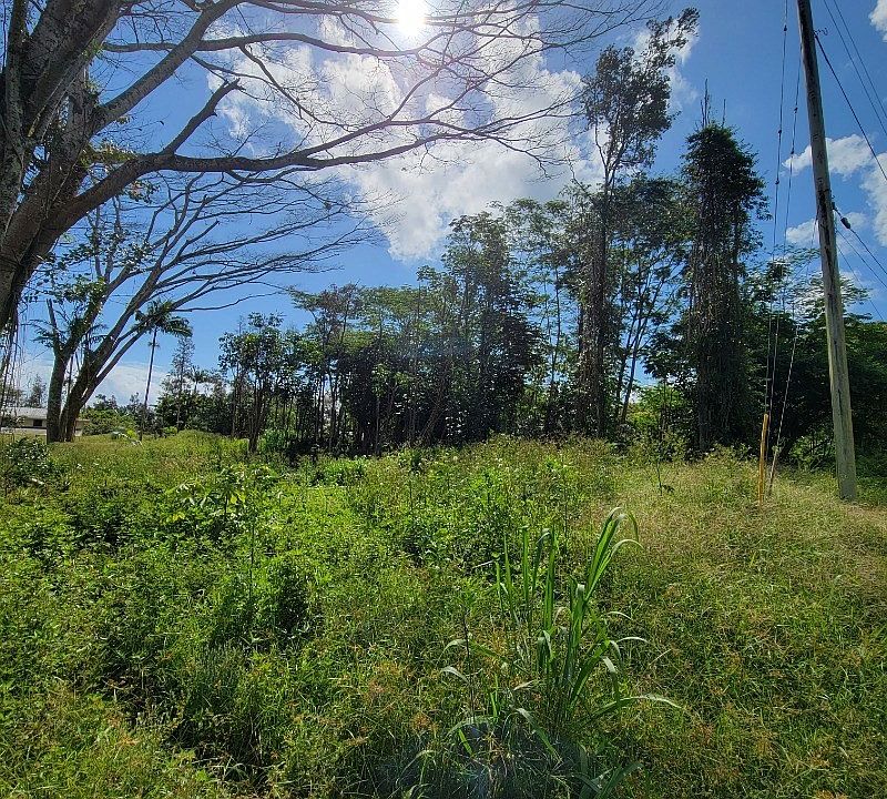 1st image of Kawakawa St Lot 3