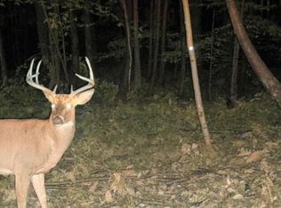 73 Valley Rd, Woodland, PA 16878