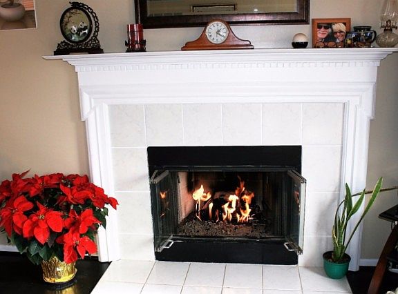 5th image of 670 Poppy Ln
