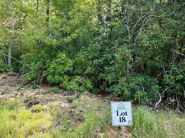 18 Turquoise Rdg, Blue Ridge, GA 30513
