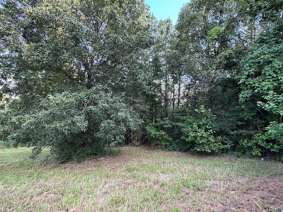 2nd image of 95 Red Wolf Ln