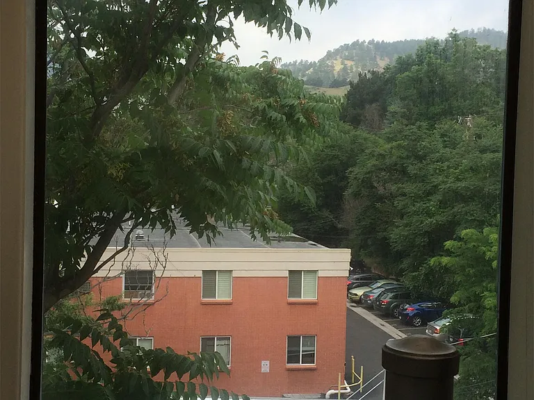 701 Pearl St #5 — Photo 13