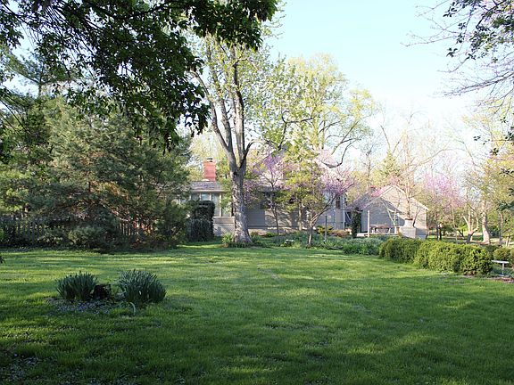 Huge backyard