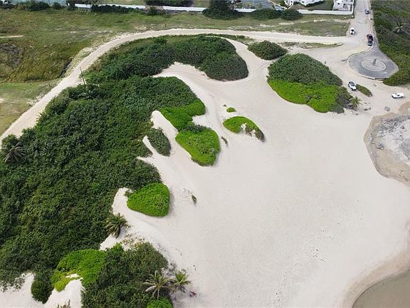 4th image of Guayabo #C