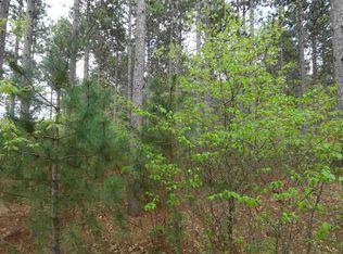 L10 3rd St E, Nekoosa, WI 54457