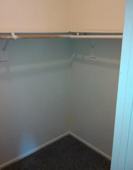 closet_01252017