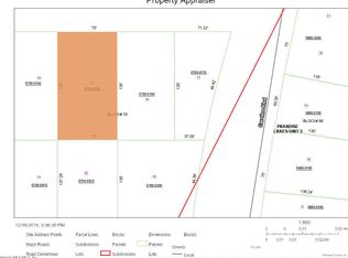 229 Jo Ann Rd, Georgetown, FL 32139