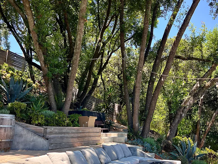 Side yard