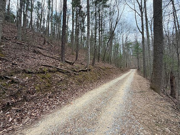 5th image of 4.1 Reece Hollow Rd