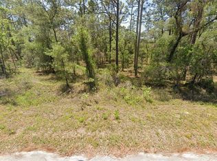 156 NW Redwing Rd LOT 34, Dunnellon, FL 34431