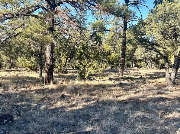 660 S Creekside Dr, Show Low, AZ 85901