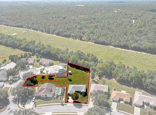 1342 S Brookfield Dr, Lecanto, FL 34461