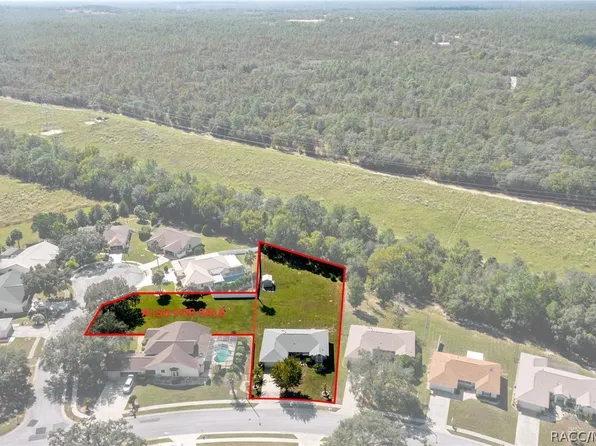 1342 S Brookfield Dr, Lecanto, FL 34461