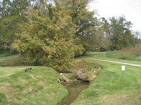 4th image of 121 Forest Ln