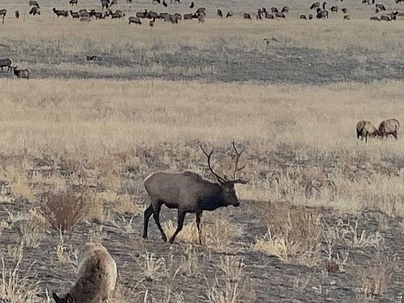 4th image of 7239 W County Road 24