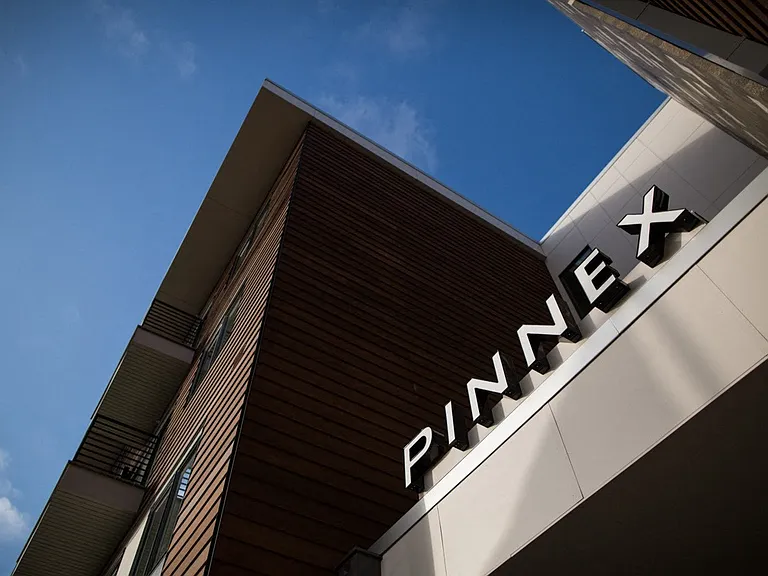 Pinnex — Photo 34