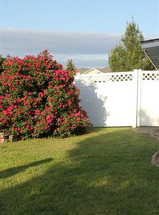 3rd image of 1319 Falcon Hollow Ln