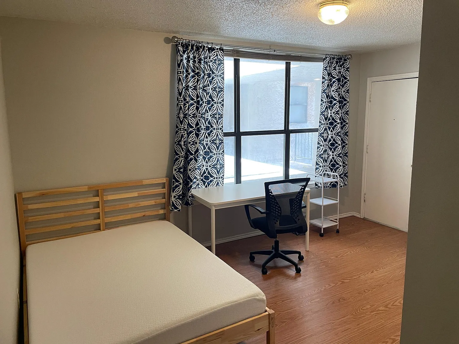2409 Leon St — Photo 3