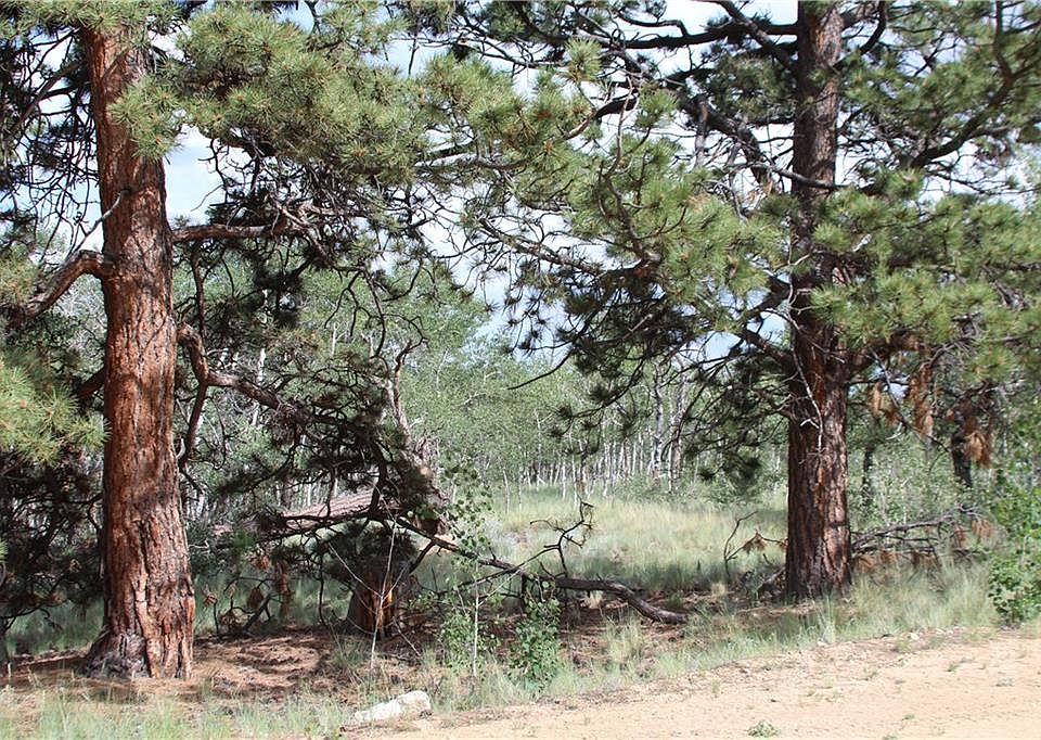 1st image of 526 Tatanka Trl