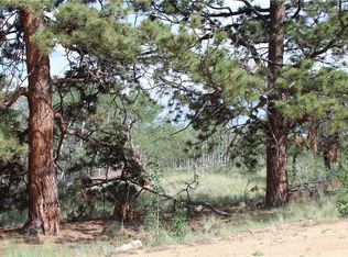 526 Tatanka Trl, Tatanka, CO 80432