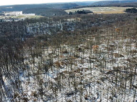 4th image of 443 S Branch Rd