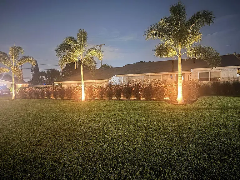 541 Ibis Dr — Photo 23