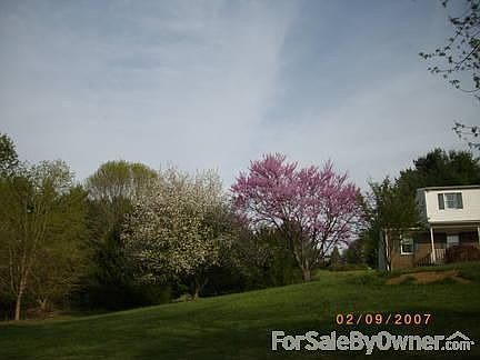 Side Of House : Large Eastern Red Bud Tree and Apple Tree.