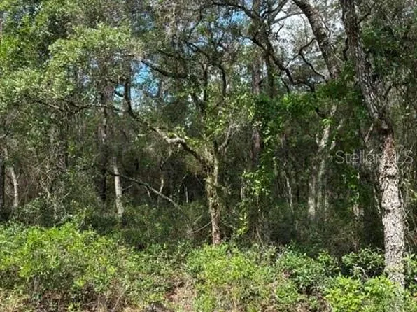 Tba Sw Winding Hills Rd Lot 10, Dunnellon, FL 34431