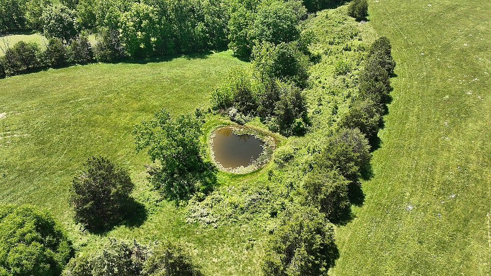 25th image of 8311 Whites Creek Pike