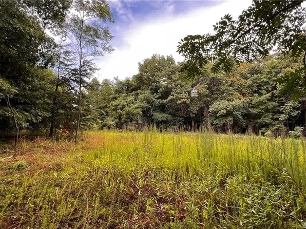 0 Russell Gap Rd, Moravian Falls, NC 28654