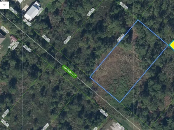 709 Mandarin St, Lake Placid, FL 33852
