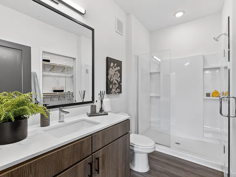 Switch Luxury Apartments — Photo 7