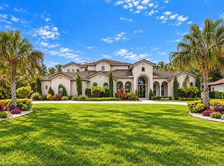 17032 COMUNIDAD DE AVILA, LUTZ, FL 33548