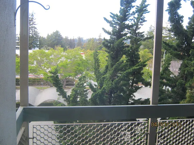 2nd view from deck