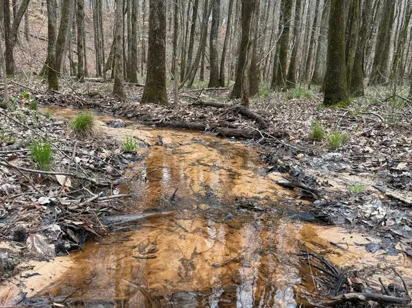 Macedonia Rd, Ackerman, MS 39735