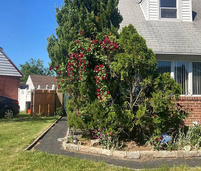Near Lenore Ln — Photo 1