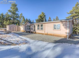 1306 Singletree Rd, Hartsel, CO 80449