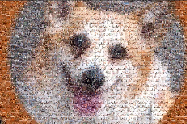 Rented by R New York | media 19