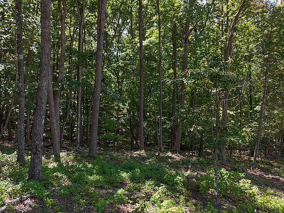 4th image of 0 Sautee Ridge Rd