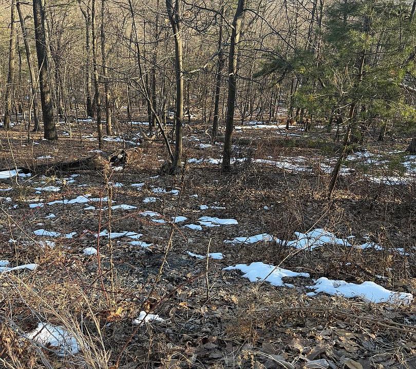 1st image of 16253 Sumney Dr