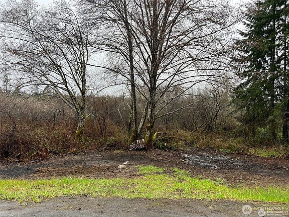 3rd image of 0 X Willapa Road