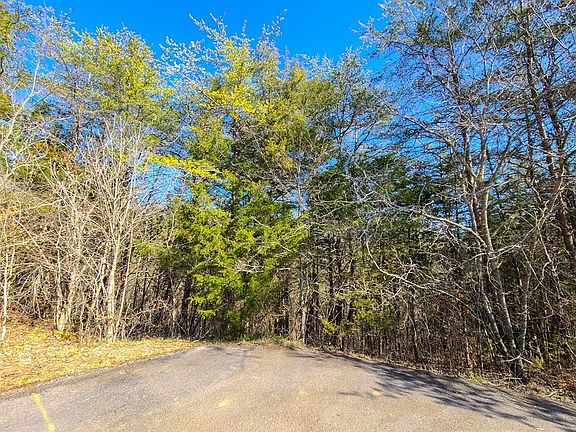3rd image of 12 White Oak Tree Ln Lot 12R
